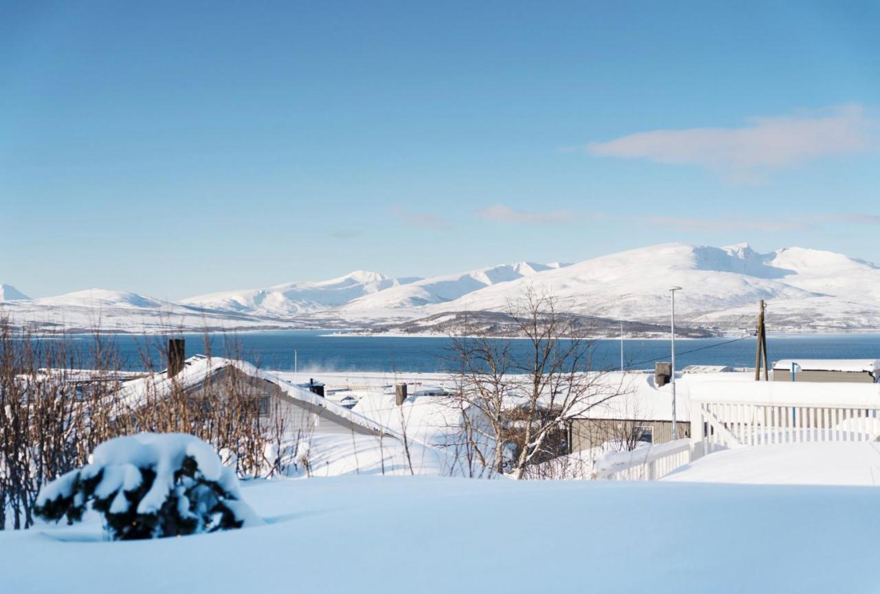 Aurora And Midnight Sun Apartment Tromso Exterior photo